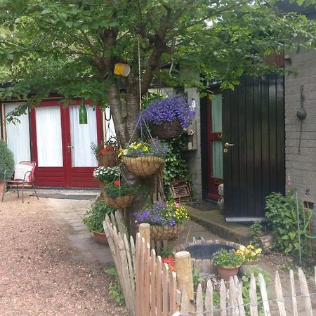 Bed And Breakfast Het Oude Bos Wijnjewoude Экстерьер фото